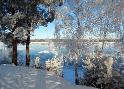 Zima, Rzeka, Drzewa, Śnieg, Rosja