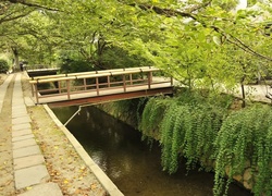 Park, Most, Rzeka
