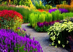 Ogród, Ścieżka, Kwiaty