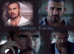 Dominic Purcell,okulary, komórka