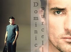 Dominic Purcell,twarz, jeansy