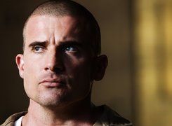 Dominic Purcell,niebieskie oczy