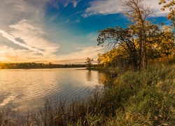 Jezioro, Wschód słońca, Niebo, Drzewa, Trawa