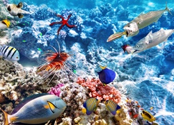 Głębiny, Rafa koralowa, Ryby