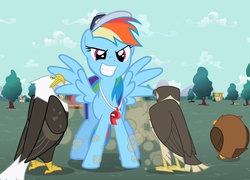 Rainbow Dash, Trener, Sowa, Orzeł