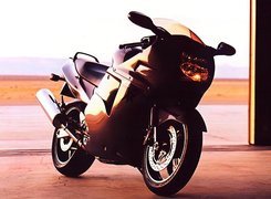 Honda CBR 1100 XX, Wydech