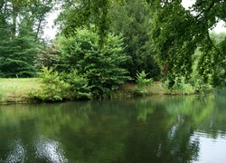 Park, Drzewa, Staw