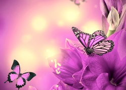 Kwiaty, Motylki