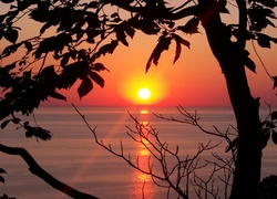 Zachód słońca, Jezioro Michigan, Drzewa