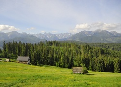 Polska, Tatry, Góry, Zakopane