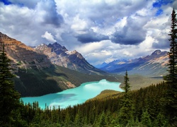 Góry, Jezioro Peyto Lake, Park Narodowy Banff, Prowincja Alberta, Kanada, Las