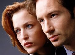 David Duchovny,rude włosy, szare oczy