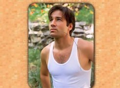 David Duchovny,biała koszulka