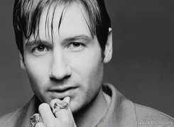 David Duchovny,sygnety