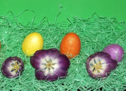 Wielkanocne, Jajka, Tulipany
