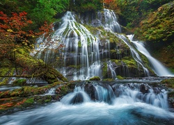 Panther Creek Falls, Wodospad, Las, Rzeka, Drzewa, Miejsce chronione, Gifford Pinchot National Forest, Stan Waszyngton, Stany Zjednoczone