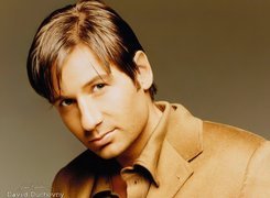 David Duchovny,brązowy strój