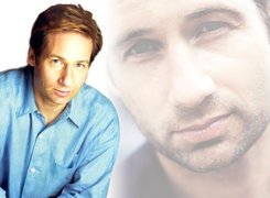 David Duchovny,błękitna koszula