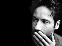 David Duchovny,wąsy, broda