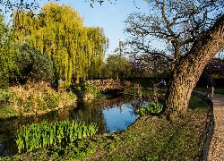 Park, Londyn, Wielka Brytania