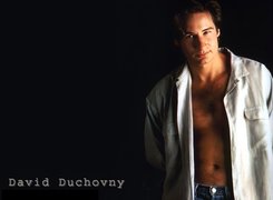 David Duchovny,jasna koszula