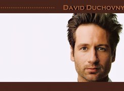 David Duchovny,brązowe włosy, niebieskie oczy