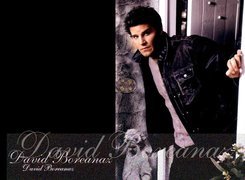 David Boreanaz,kurtka jeansowa