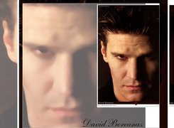 David Boreanaz,ciemne włosy