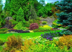 Queen Elizabeth, Park, Drzewa, Krzewy, Kwiaty, Vancouver, Kanada