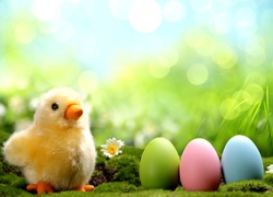 Wielkanocne, Kurczaczek, Jajka