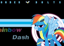 My Little Pony, Rainbow Dash, Wonder Bolts