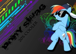 My Little Pony, Rainbow Dash, swag, 20% coller