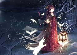 Dziewczyna, Noc, Śnieg, Anime
