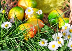 Wielkanoc, Tęczowe pisanki, Kwiaty, Stokrotki