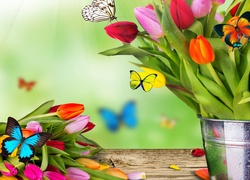 Kolorowe, Tulipany, Wiadro, Motylki