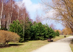 Park, Ścieżka, Drzewa