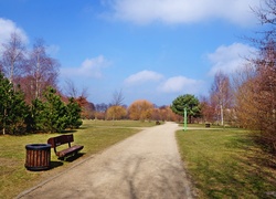 Park, Ścieżka, Ławka, Drzewa
