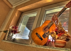Okno, Gitara, Dekoracja, Suszone, Kwiaty