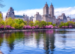 Central Park, Nowy Jork