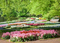 Holandia, Keukenhof, Park, Staw, Kwiaty, Wiosna