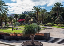Park, Hiszpania, Las Palmas