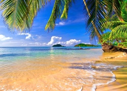 Plaża, Morze, Palmy, Wyspy, Tropiki