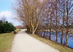 Polska, Gdańsk, Park im. Ronalda Reagana, Droga, Drzewa, Jeziorko