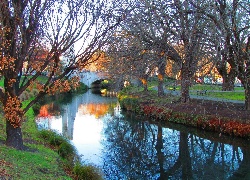 Park, Rzeka, Jesień, Mostek