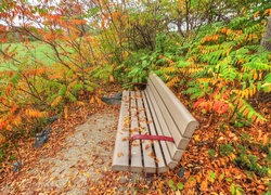 Park, Ławka, Jesień