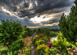 Ogród, Chmury