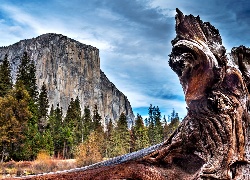 Stany Zjednoczone, Stan Kalifornia, Park Narodowy Yosemite