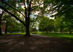 Queens park, Toronto