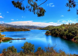 Jezioro, Lasy, Kalifornia