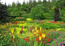 Ogród, Park, Angielski, Kwiaty, Drzewa, Krzewy